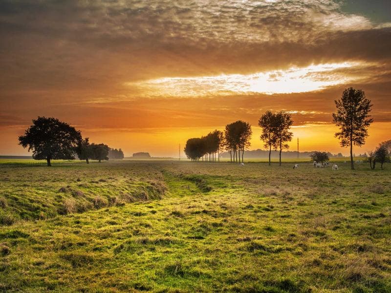 ດິນຂາຍ ນ້ຳບາກ