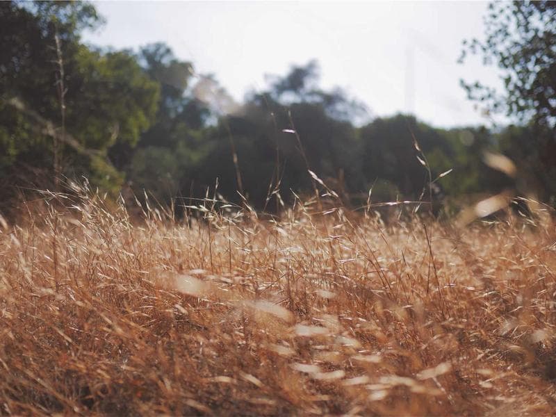 ດິນຂາຍ ເຊກອງ